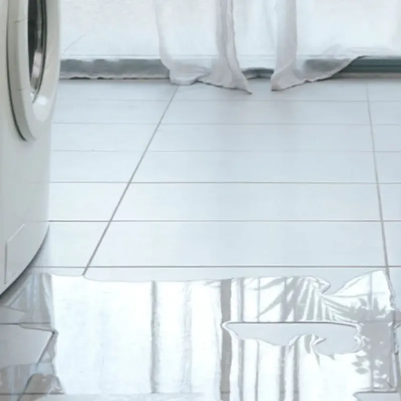 Appliance Leak Cleanup in Lathrop, CA